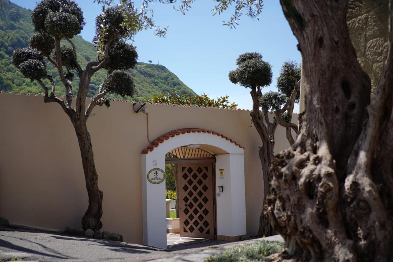 Villa Antonietta Ischia Exterior foto
