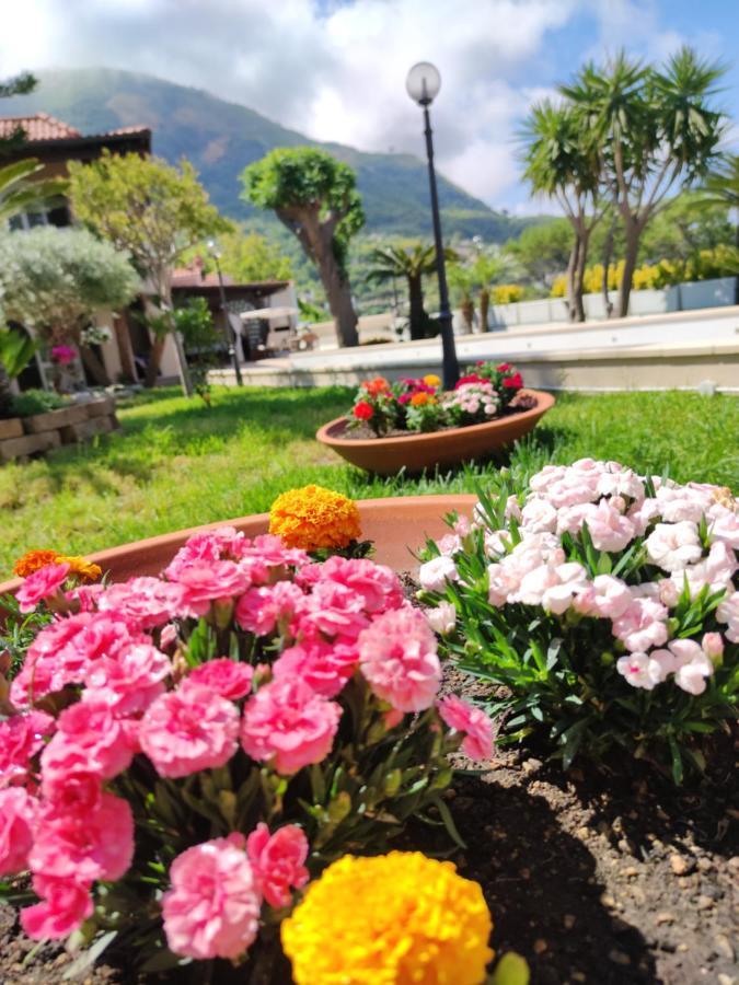 Villa Antonietta Ischia Exterior foto