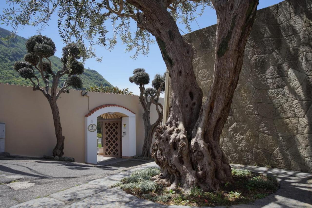 Villa Antonietta Ischia Exterior foto